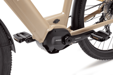 Thumbnail - E850  Trekking Low Step